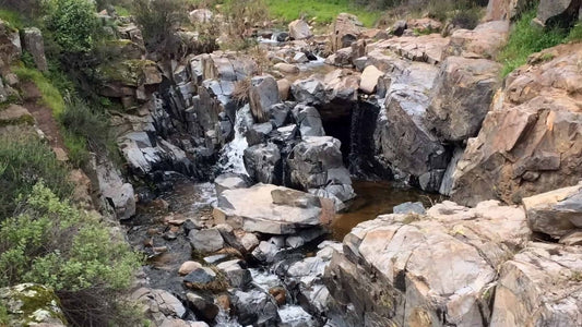 10 Best Hiking Trails in San Diego for Every Skill Level - Myco Threads