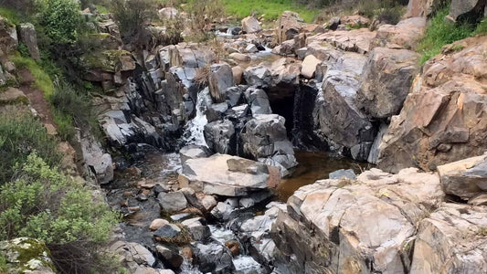 10 Best Hiking Trails in San Diego for Every Skill Level